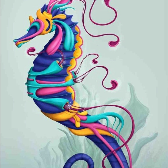 sassyseahorses